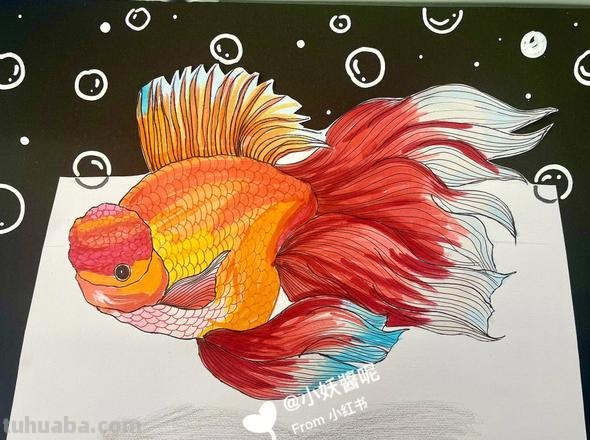 《色彩精灵下载及安装指南，轻松打造绚丽绘画世界！》 