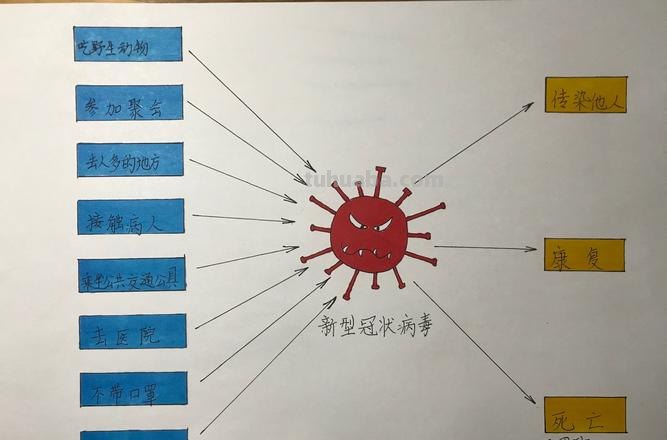病毒名称思维导图怎么画 思维导图的八种基本形式？