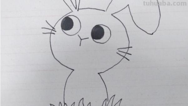 简笔画小兔子怎么画 可爱小兔子简笔画怎么画？