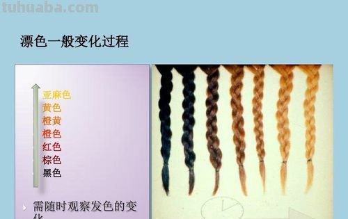 美发色彩学及美发色彩学基础知识 