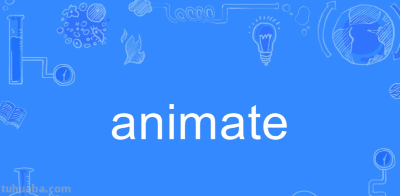animate怎么读