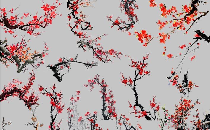 梅花色彩图及梅花色彩图片
