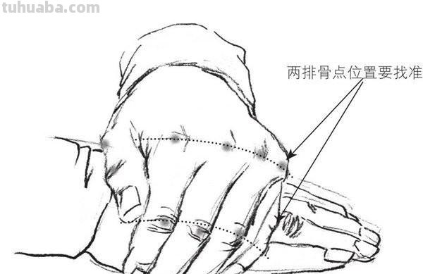 中班速写人物 速写时如何画好人物面部？