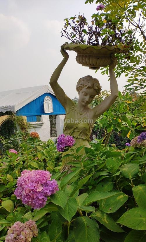 探寻玛丽亚色彩及玛莉亚色彩花园的绚丽魅力 