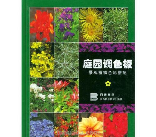 植物色彩搭配及植物色彩搭配原则 