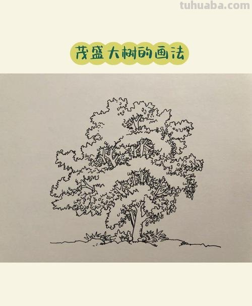画技巧植物速写 风景速写中怎样画树？
