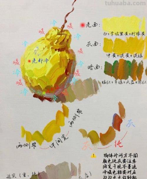 水粉色彩梨的调色方法及颜色搭配 