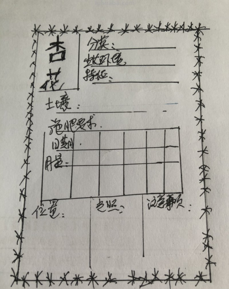 杏花怎么画简笔画图片 国画怎样画杏花？