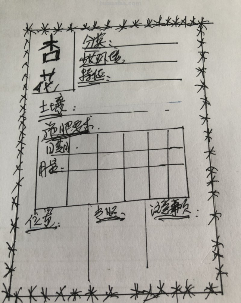 杏花怎么画简笔画图片 国画怎样画杏花？