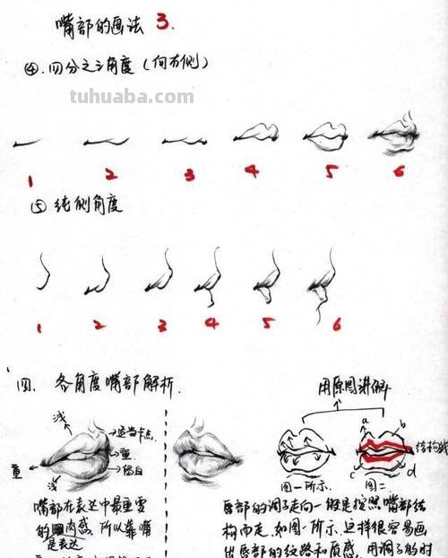 画技巧牙齿速写 画速写的步骤和技巧？