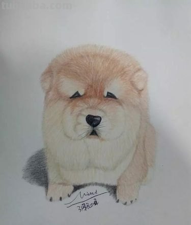 新手也能很快上手的彩铅简笔画，彩铅画狗狗