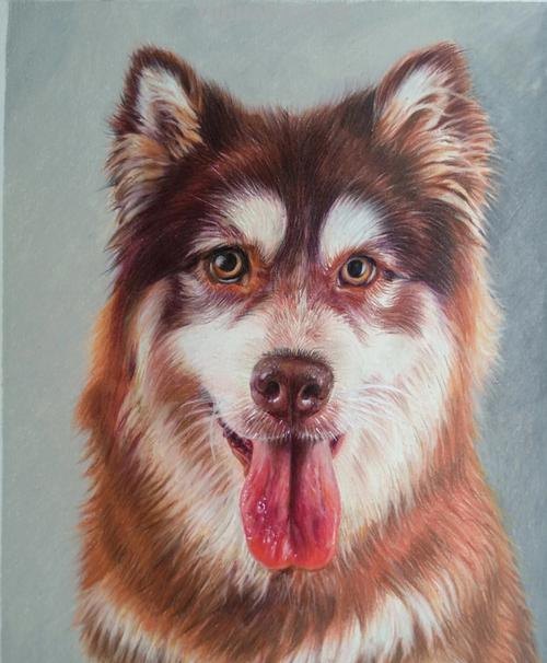新手也能很快上手的彩铅简笔画，彩铅画狗狗