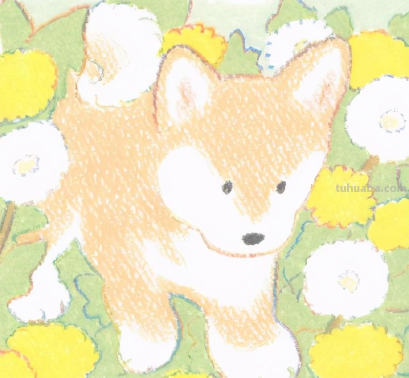 新手也能很快上手的彩铅简笔画，彩铅画狗狗