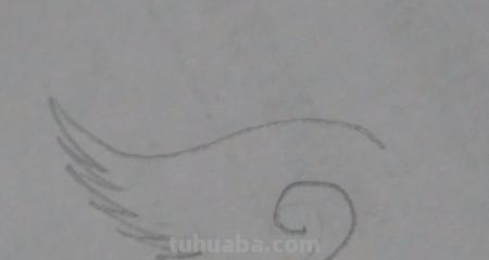 羽毛怎么画简笔画图片 如何画鸟类羽毛？