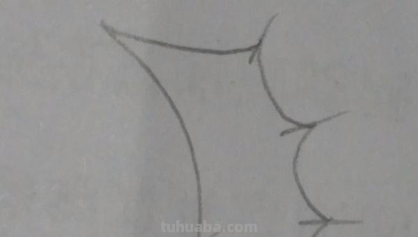 羽毛怎么画简笔画图片 如何画鸟类羽毛？