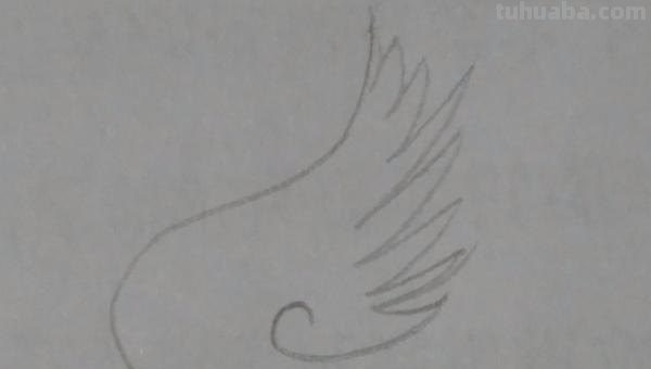 羽毛怎么画简笔画图片 如何画鸟类羽毛？