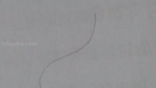 羽毛怎么画简笔画图片 如何画鸟类羽毛？