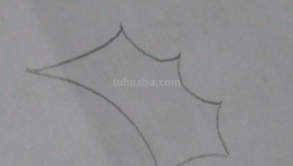 羽毛怎么画简笔画图片 如何画鸟类羽毛？
