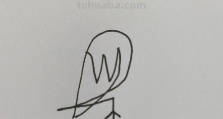 羽毛怎么画简笔画图片 如何画鸟类羽毛？
