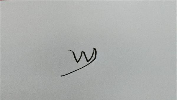 羽毛怎么画简笔画图片 如何画鸟类羽毛？