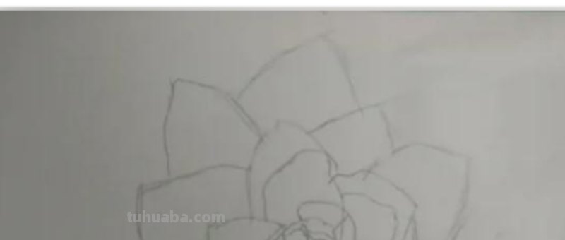 唯美彩铅画蓝玫瑰怎么画 玫瑰绘画？