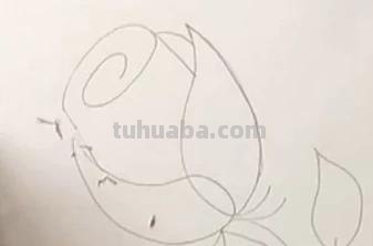 唯美彩铅画蓝玫瑰怎么画 玫瑰绘画？