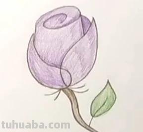唯美彩铅画蓝玫瑰怎么画 玫瑰绘画？