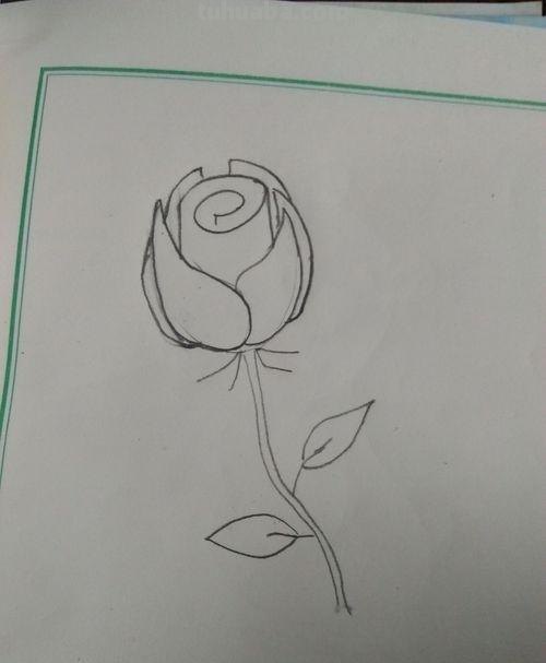 唯美彩铅画蓝玫瑰怎么画 玫瑰绘画？