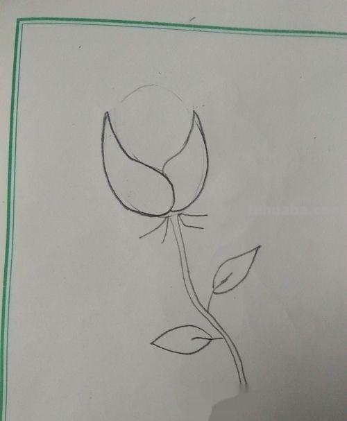 唯美彩铅画蓝玫瑰怎么画 玫瑰绘画？