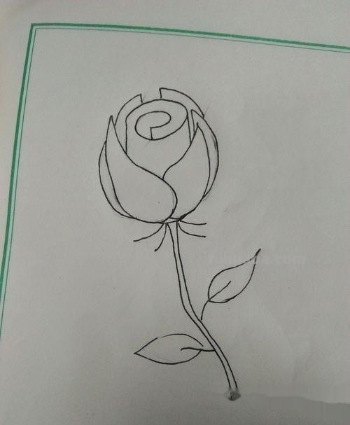 唯美彩铅画蓝玫瑰怎么画 玫瑰绘画？