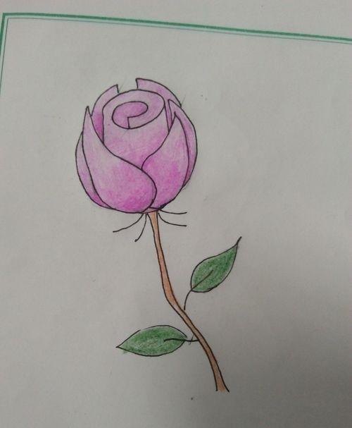 唯美彩铅画蓝玫瑰怎么画 玫瑰绘画？