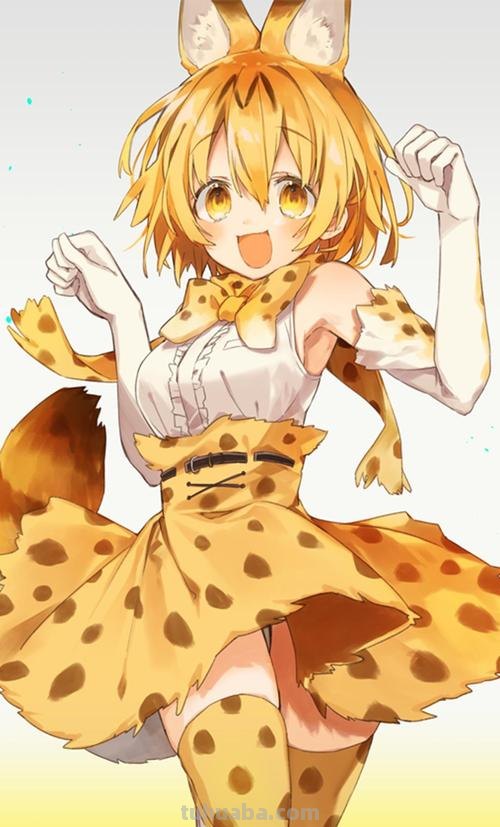兽娘动物园
