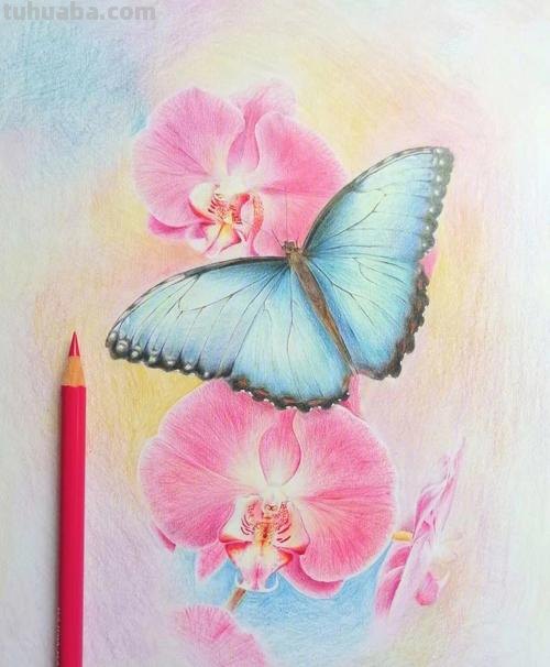 画彩铅画用什么纸好 彩铅绘画选什么纸比较好?