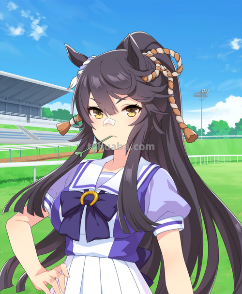 赛马娘 赛马娘wiki