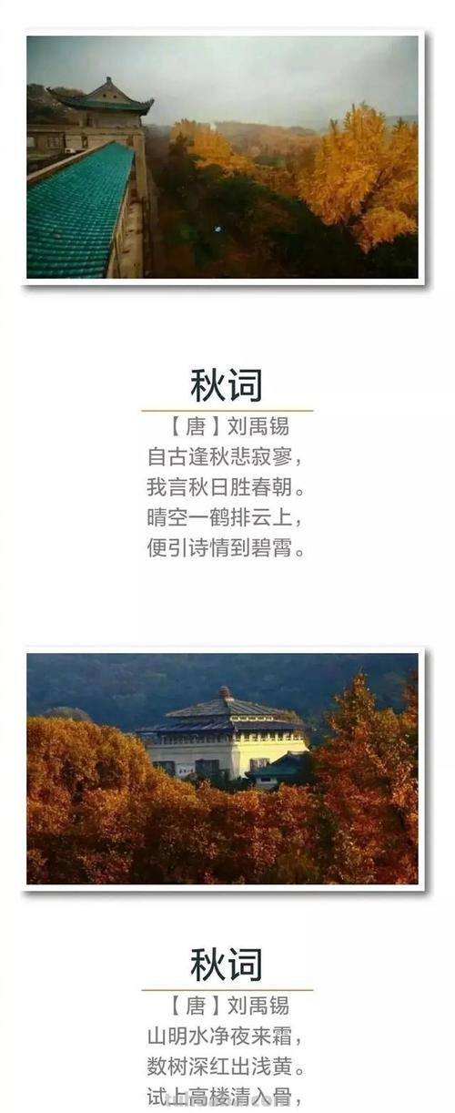 秋天色彩的诗句：描绘大自然的绚丽画卷 