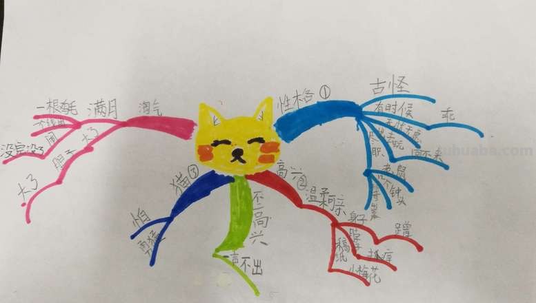 大猫英语思维导图怎么画 怎样画英语思维导图更好看?