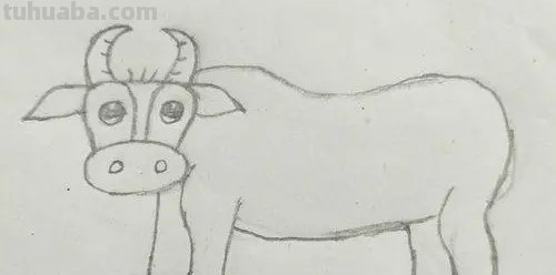 小牛怎么画简笔画图片 1秒学会画小牛？