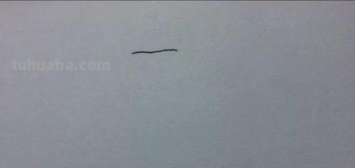 衬衫怎么画简笔画图片 怎样画简单好看的衬衣？