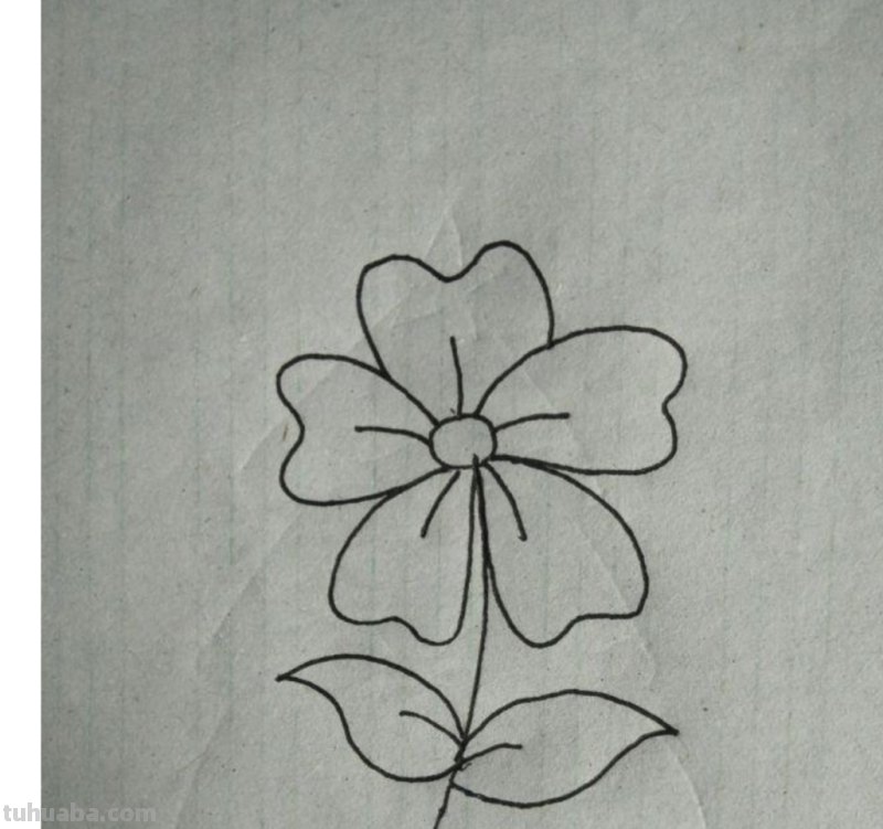 花草怎么画简笔画图片 简笔画：如何教小朋友画出美丽的花朵？