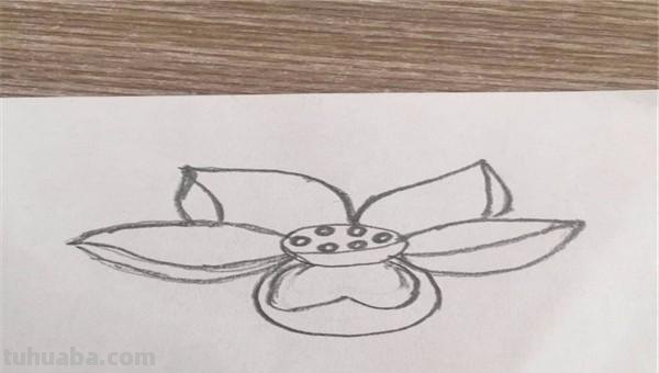 花草怎么画简笔画图片 简笔画：如何教小朋友画出美丽的花朵？