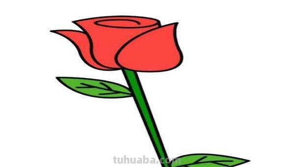 花草怎么画简笔画图片 简笔画：如何教小朋友画出美丽的花朵？