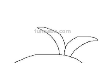 花草怎么画简笔画图片 简笔画：如何教小朋友画出美丽的花朵？
