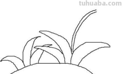 花草怎么画简笔画图片 简笔画：如何教小朋友画出美丽的花朵？