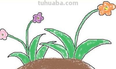 花草怎么画简笔画图片 简笔画：如何教小朋友画出美丽的花朵？