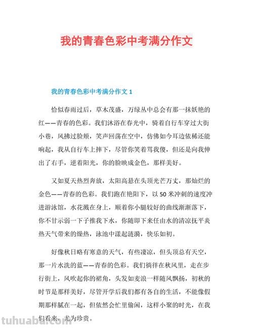 我的青春色彩作文800字 