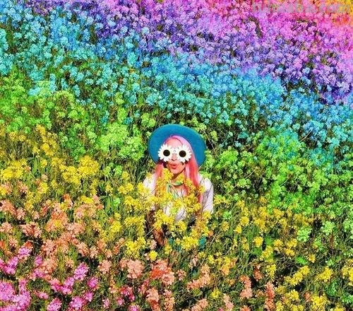 缤纷多彩：形容色彩鲜艳花样繁多的世界 