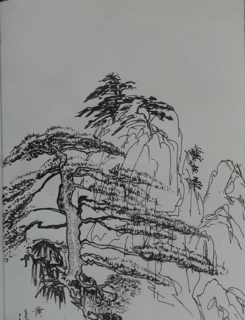 速写黄山树 怎样画黄山云海加迎客松？