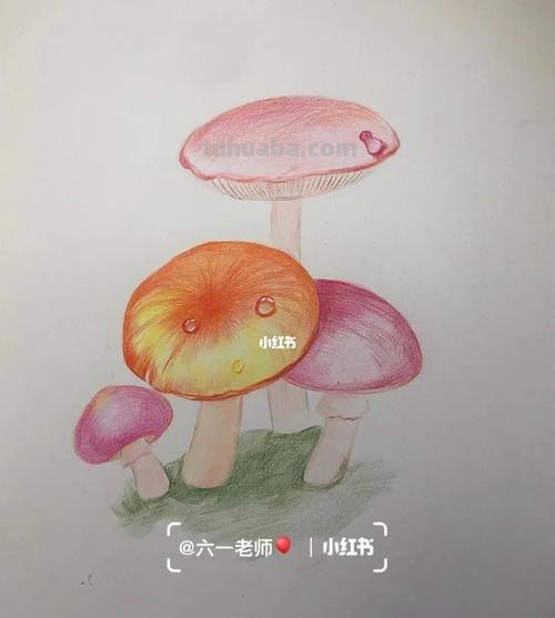儿童画彩铅蘑菇怎么画 一笔一步教画蘑菇蔬菜?