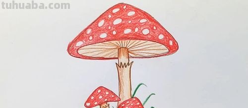 儿童画彩铅蘑菇怎么画 一笔一步教画蘑菇蔬菜?