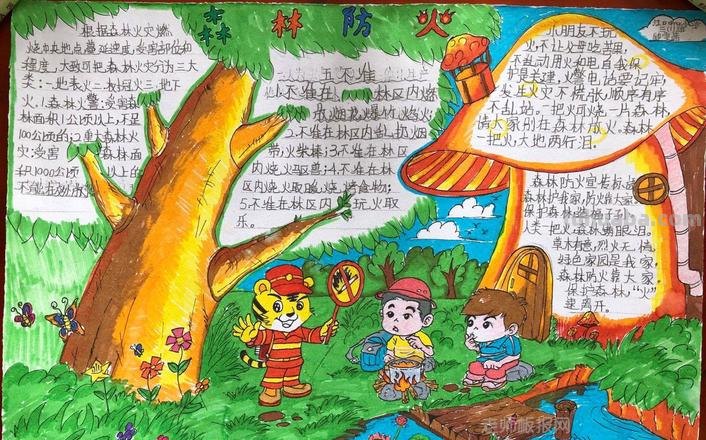 手抄报森林手抄报怎么画 森林防火手抄报怎么做?